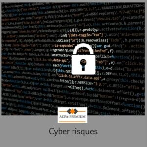 BIEN COMPRENDRE LE RISQUE CYBER